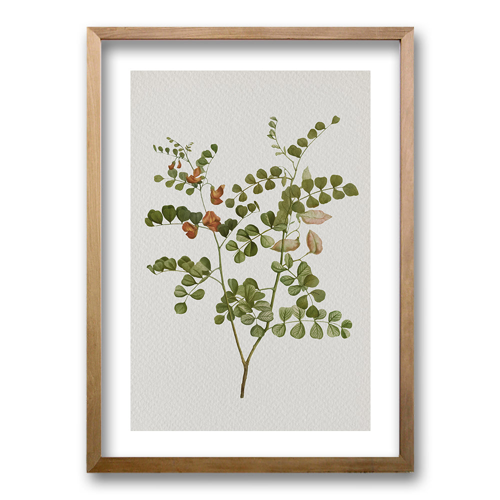 Cuadro Plants III