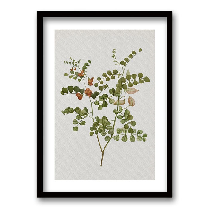 Cuadro Plants III