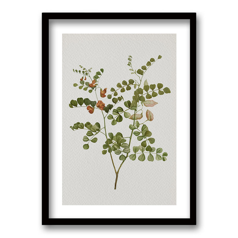 Cuadro Plants III