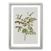 Cuadro Plants III