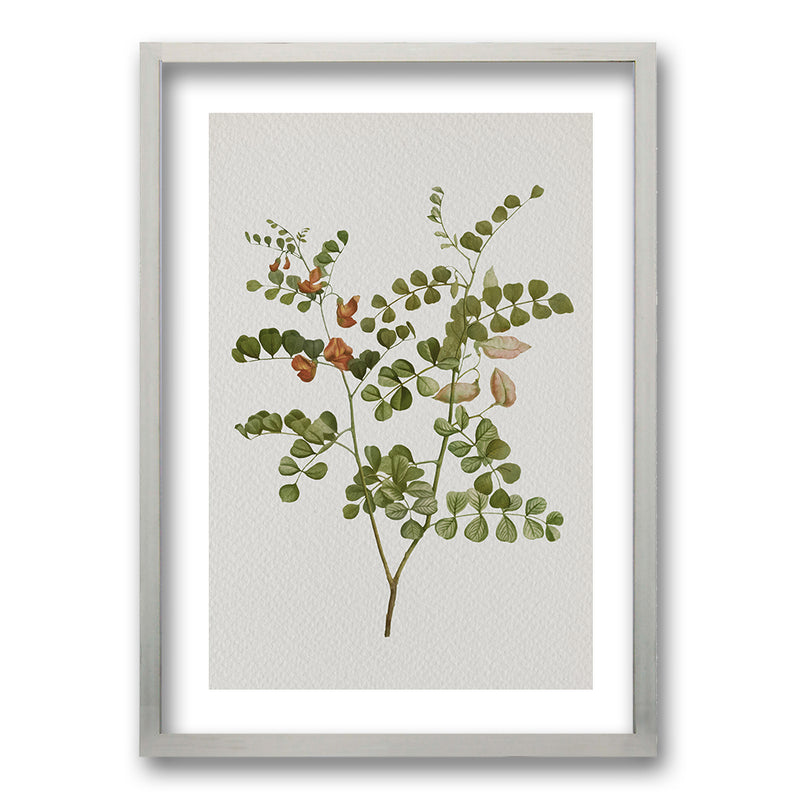 Cuadro Plants III