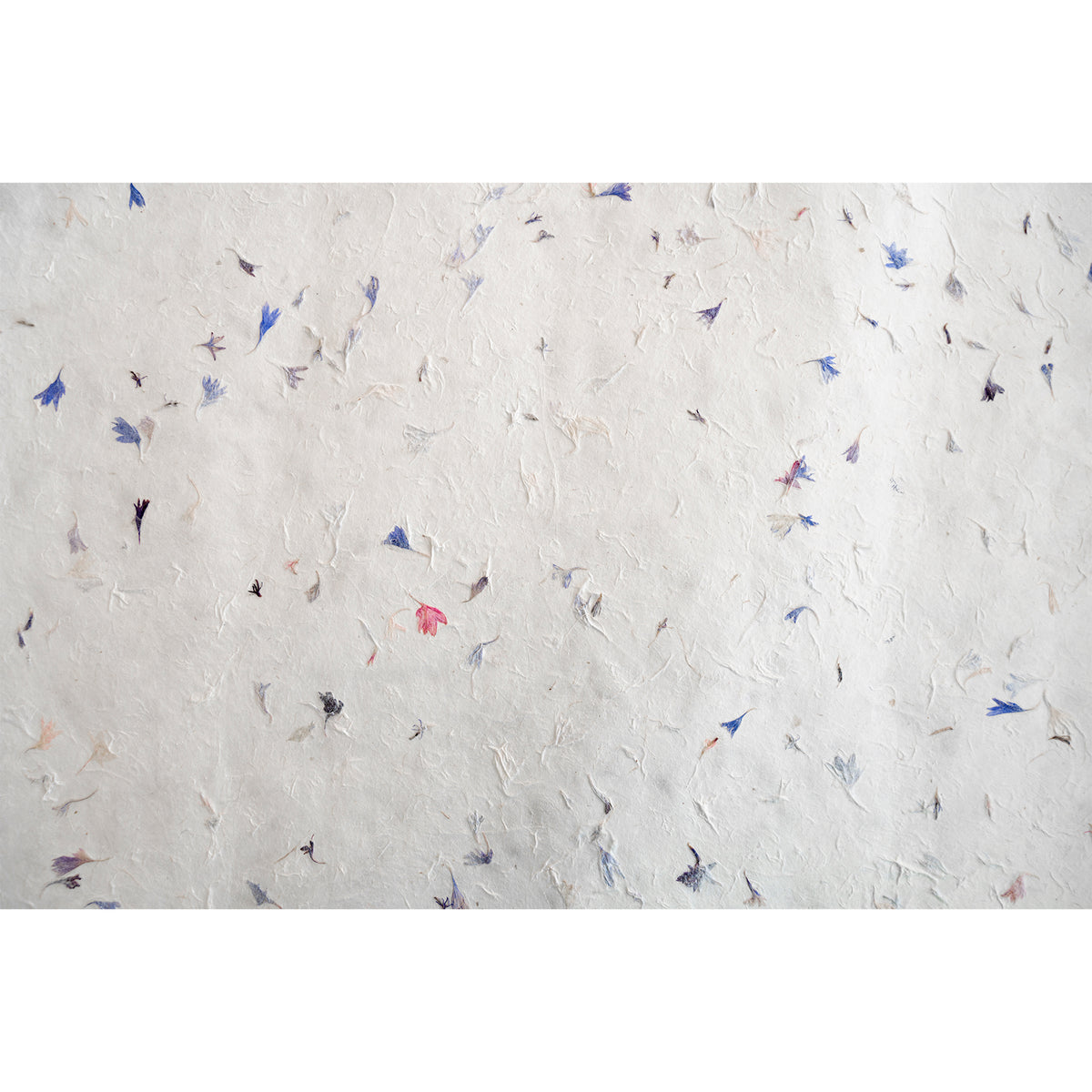 Papel Mural Flores Prensadas