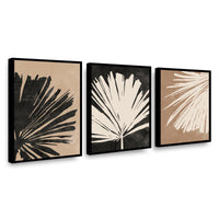Canvas Trio Hoja de Palma