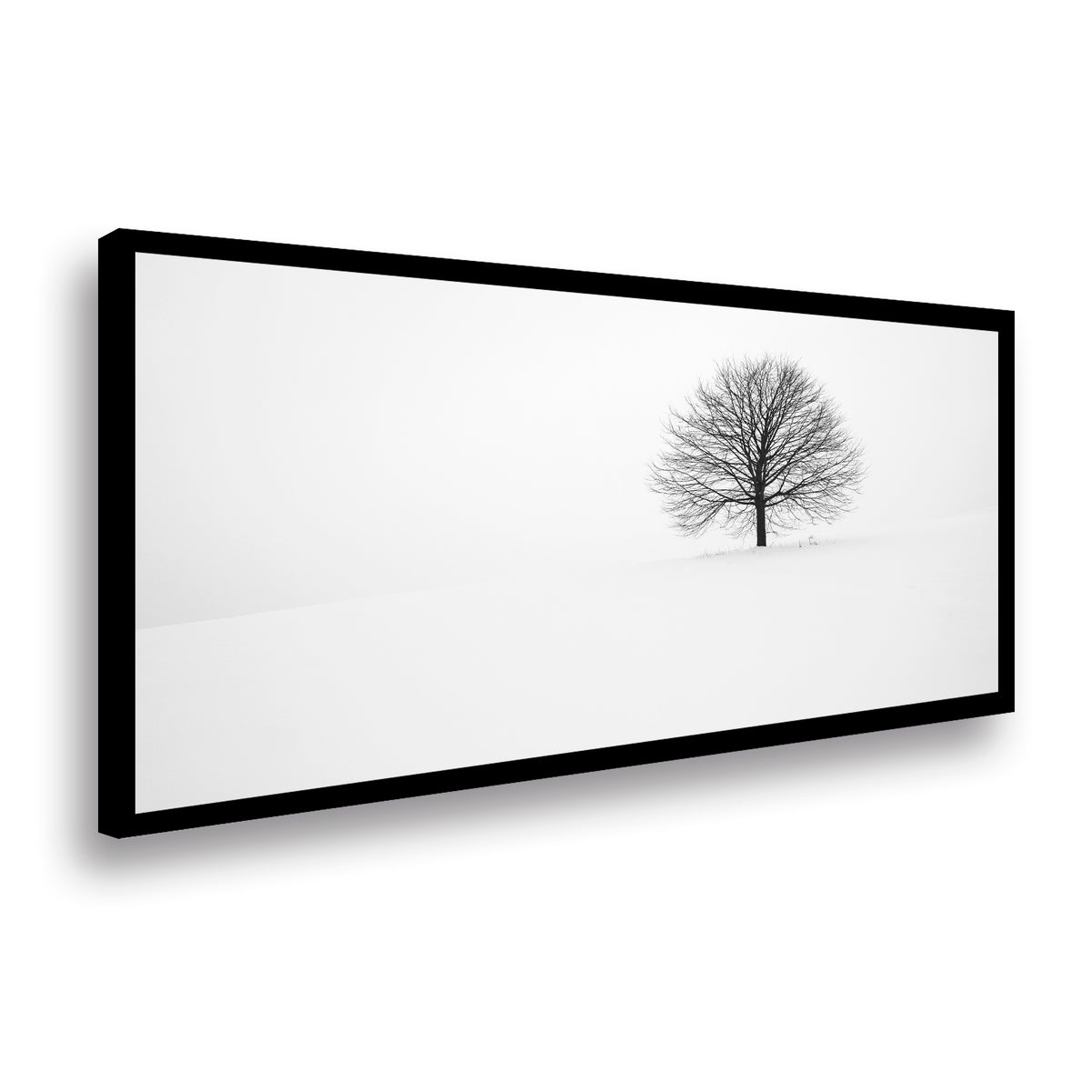 Canvas Lonely