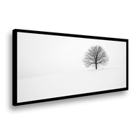 Canvas Lonely