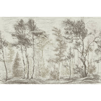 Papel Mural Arte del Viento