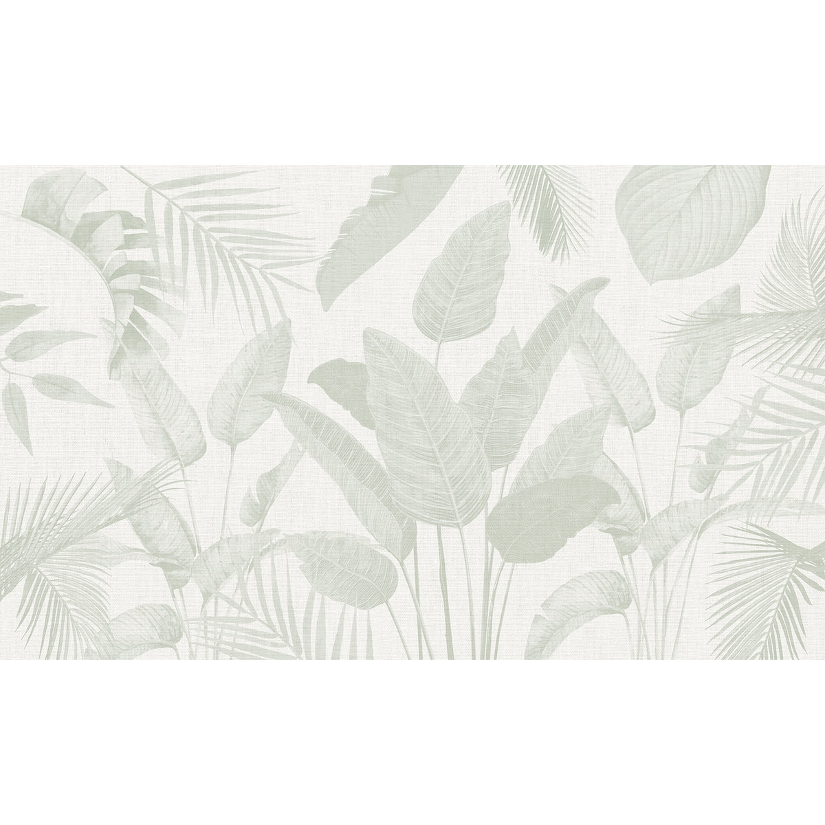 Papel Mural Plantas Minimal