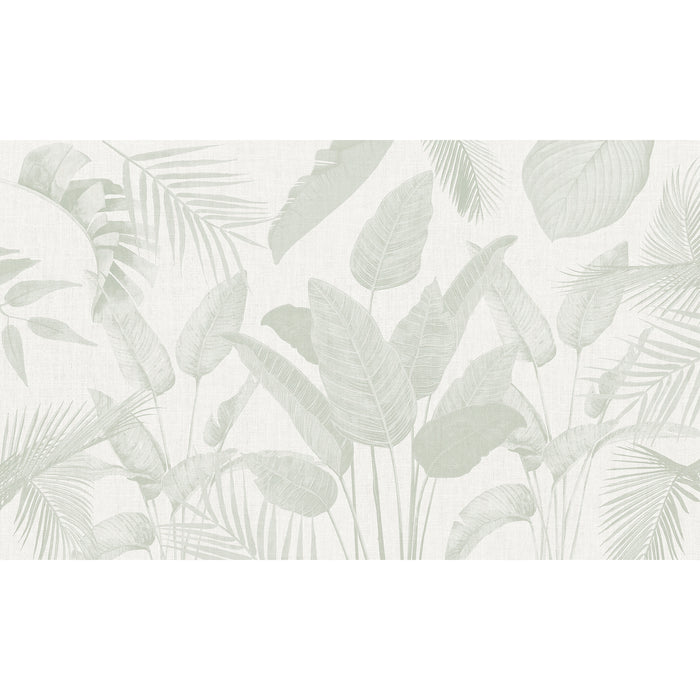 Papel Mural Plantas Minimal