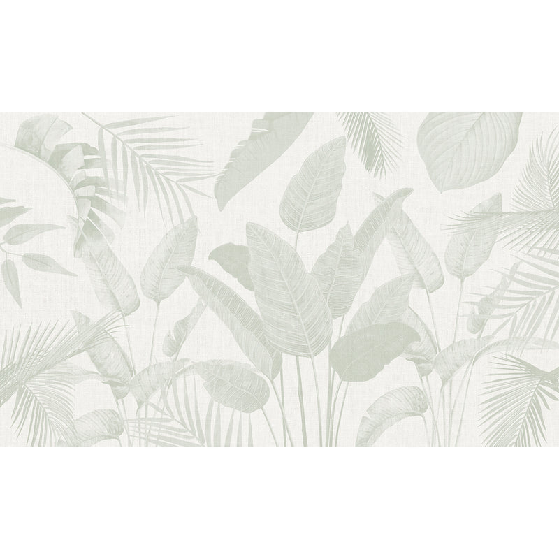 Papel Mural Plantas Minimal