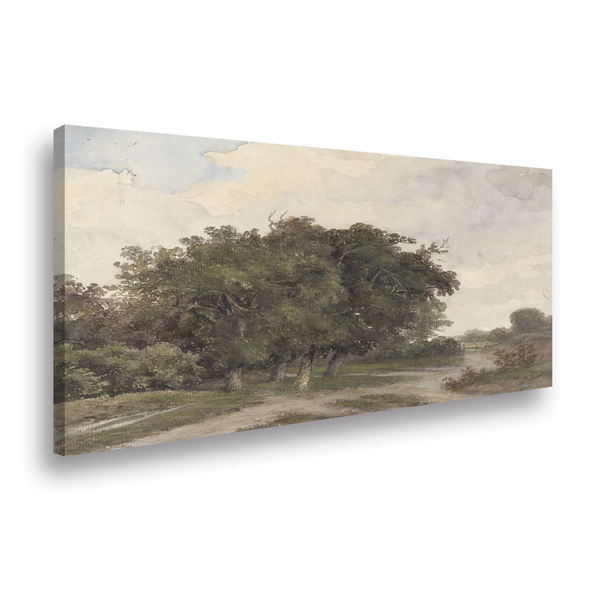 Canvas Perspectiva