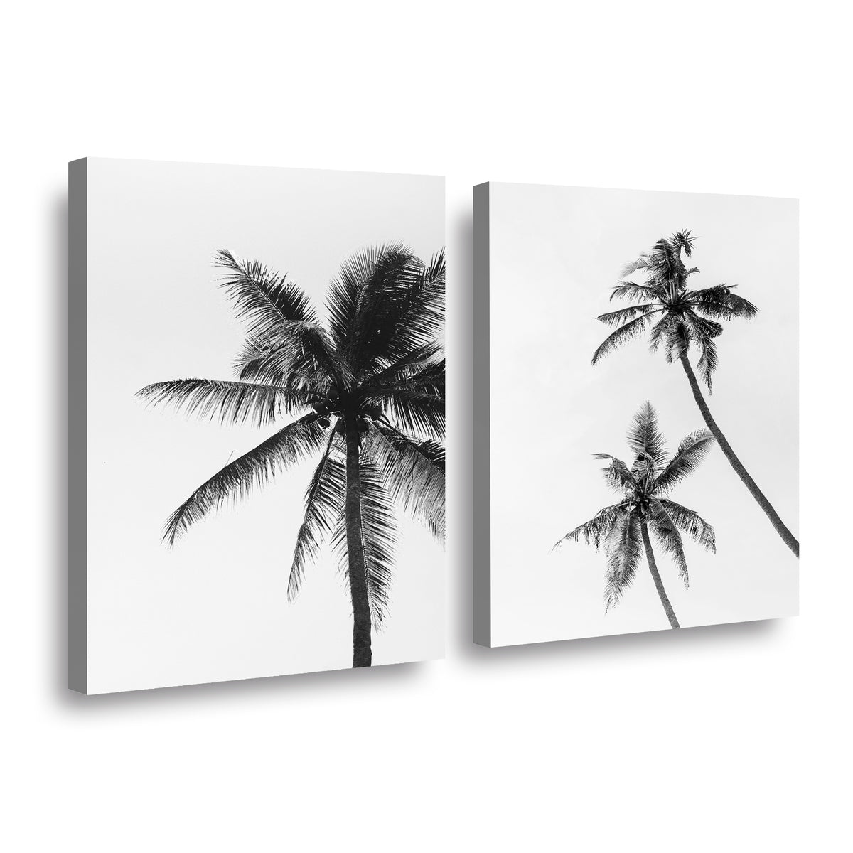 Canvas duo Palmeras Blanco y Negro