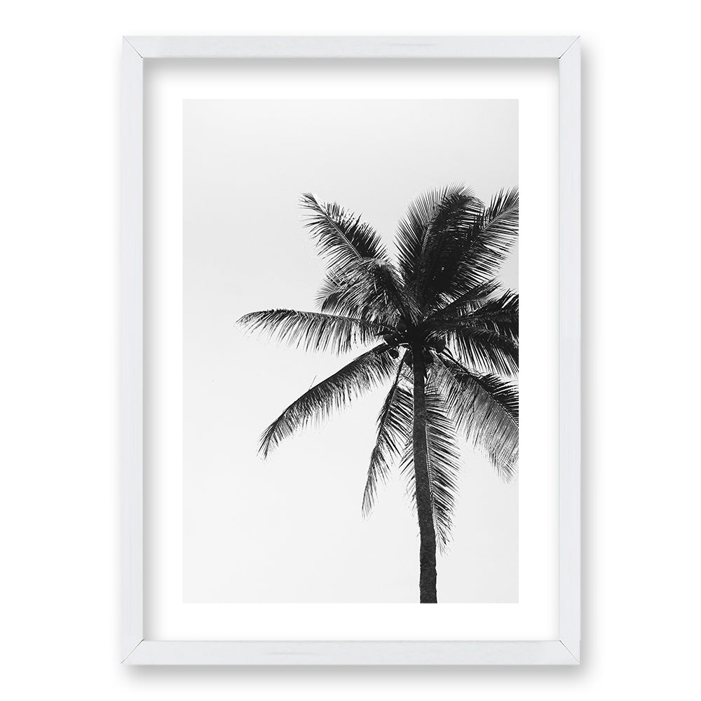 Cuadro Palmeras Blanco y Negro