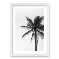 Cuadro Palmeras Blanco y Negro