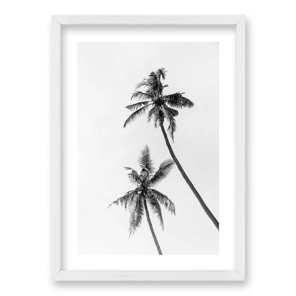 Cuadro Palmeras Blanco y Negro II