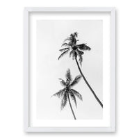Cuadro Palmeras Blanco y Negro II