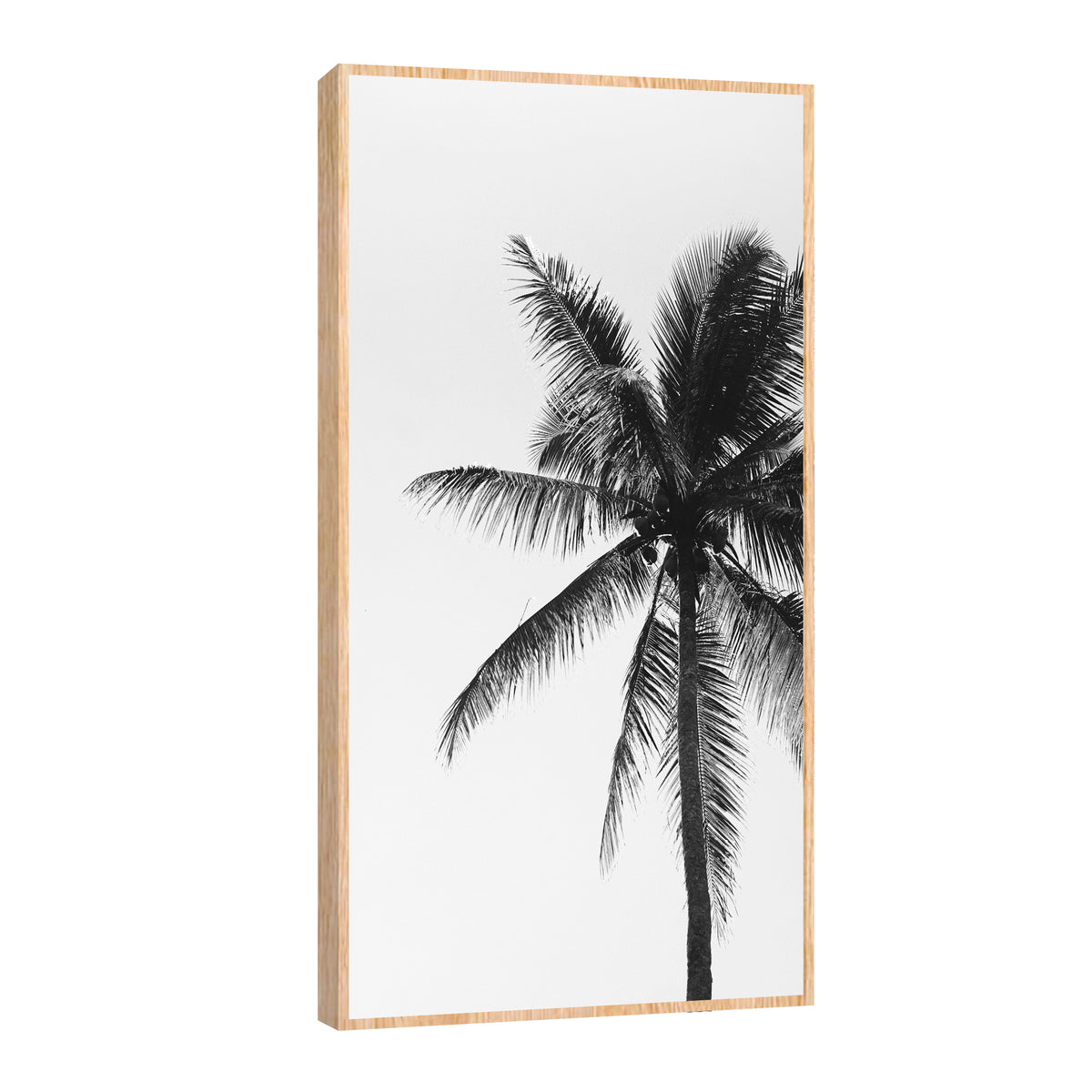 Canvas Palmeras Blanco y Negro
