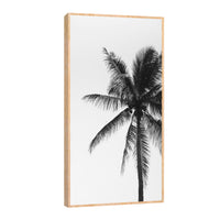 Canvas Palmeras Blanco y Negro