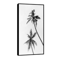 Canvas Palmeras Blanco y Negro II