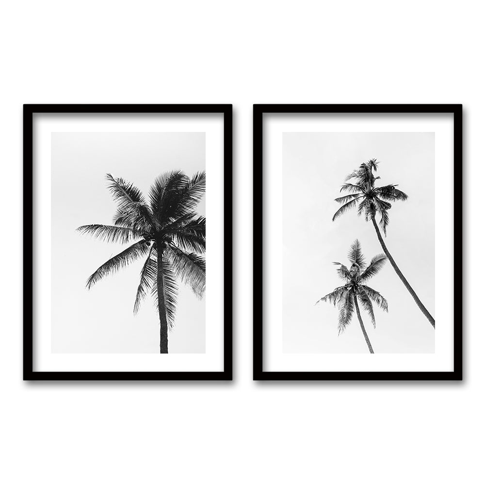Cuadro Duo Palmeras Blanco y Negro
