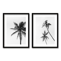 Cuadro Duo Palmeras Blanco y Negro