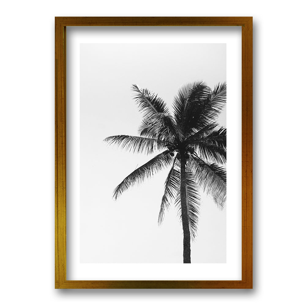 Cuadro Palmeras Blanco y Negro