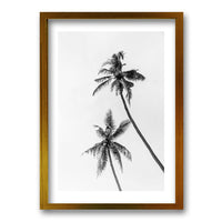 Cuadro Palmeras Blanco y Negro II