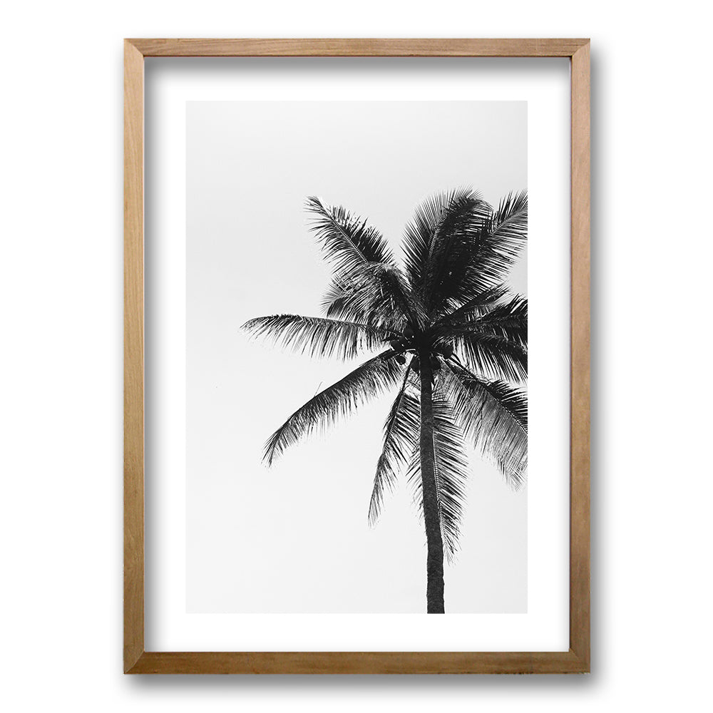 Cuadro Palmeras Blanco y Negro