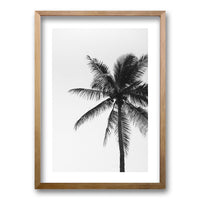 Cuadro Palmeras Blanco y Negro