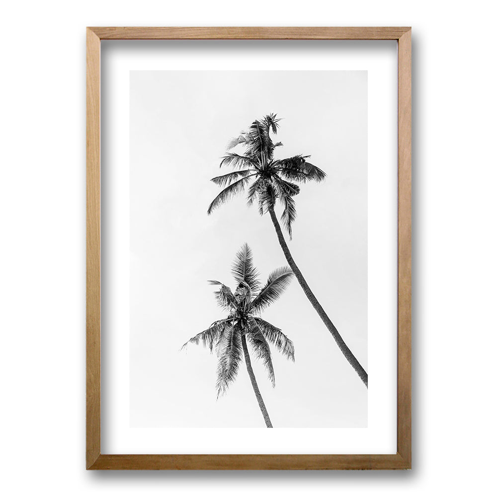 Cuadro Palmeras Blanco y Negro II