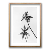 Cuadro Palmeras Blanco y Negro II