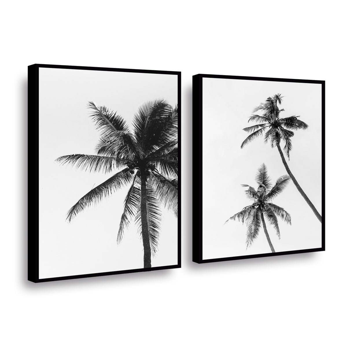 Canvas duo Palmeras Blanco y Negro