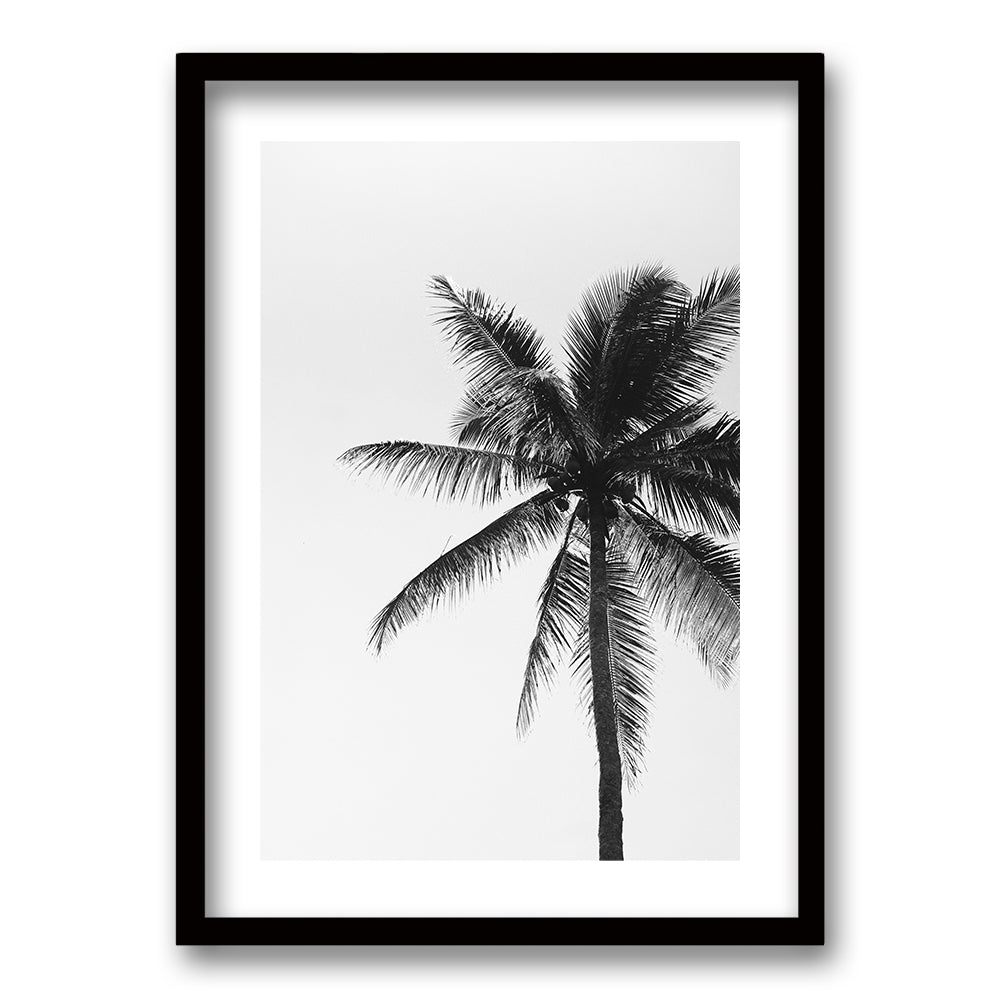 Cuadro Palmeras Blanco y Negro