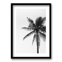 Cuadro Palmeras Blanco y Negro