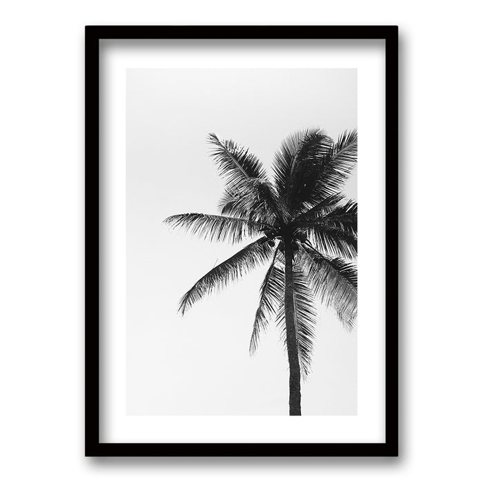 Cuadro Palmeras Blanco y Negro
