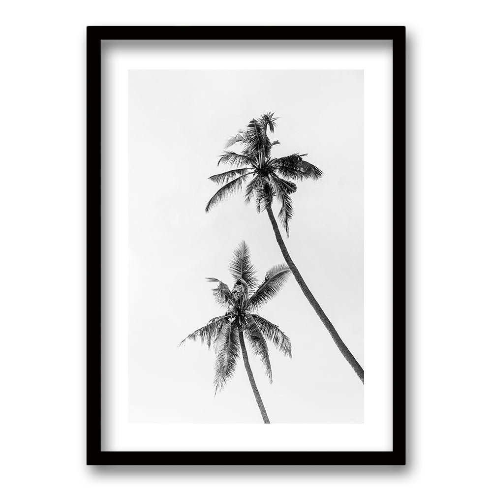 Cuadro Palmeras Blanco y Negro II
