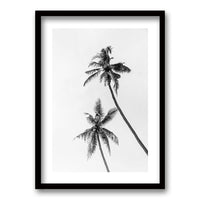 Cuadro Palmeras Blanco y Negro II