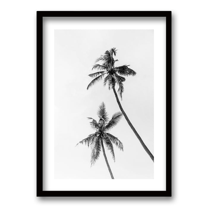 Cuadro Palmeras Blanco y Negro II