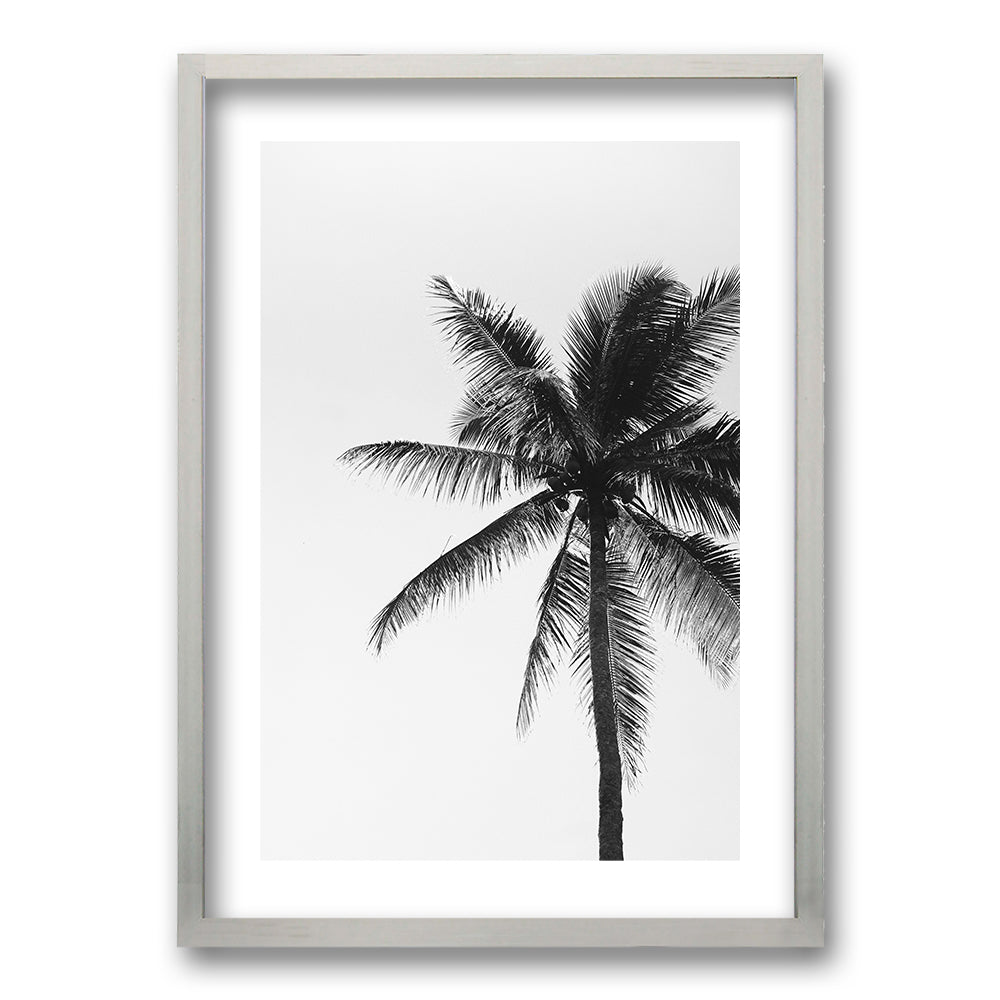 Cuadro Palmeras Blanco y Negro