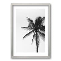 Cuadro Palmeras Blanco y Negro
