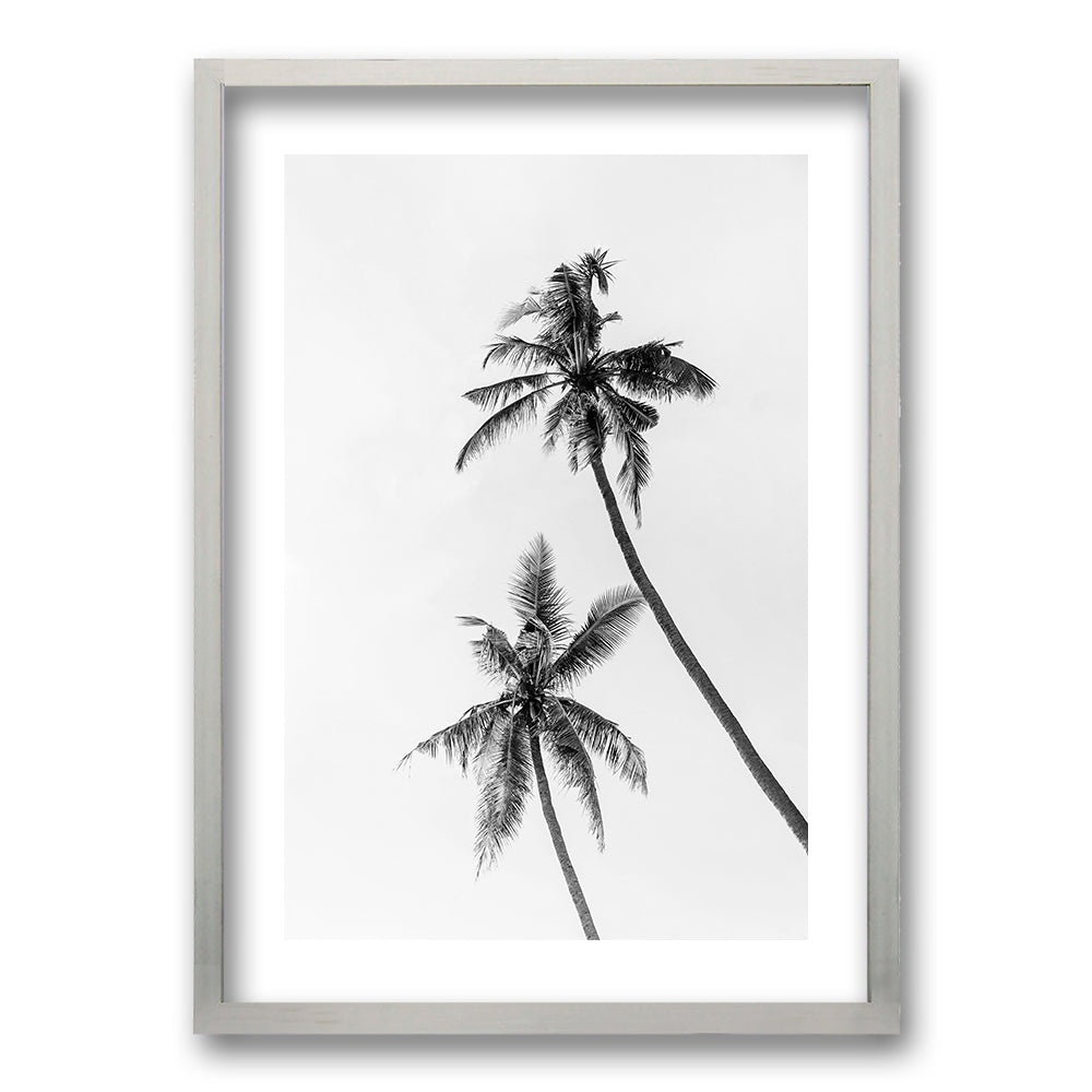 Cuadro Palmeras Blanco y Negro II
