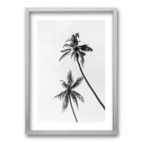 Cuadro Palmeras Blanco y Negro II
