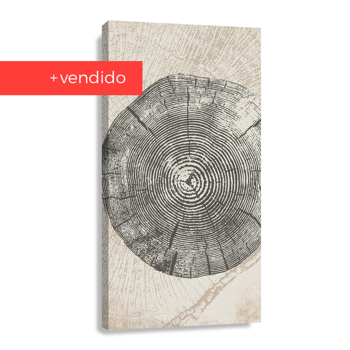 Canvas Crecimiento en Matices