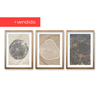 Cuadro Trio Crecimiento en Matices