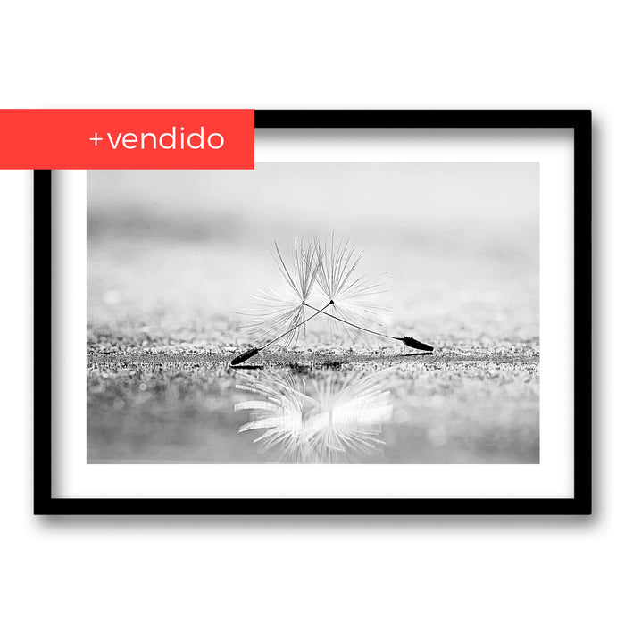 Cuadro Diente de León