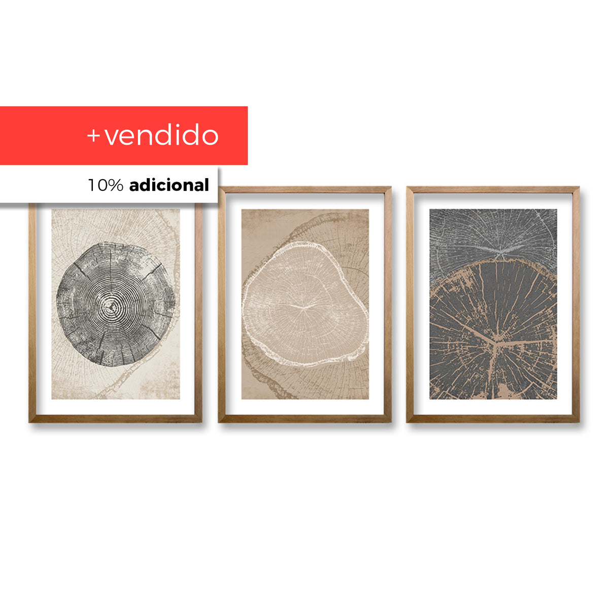 Cuadro Trio Crecimiento en Matices