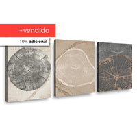 Canvas Trio Crecimiento en Matices