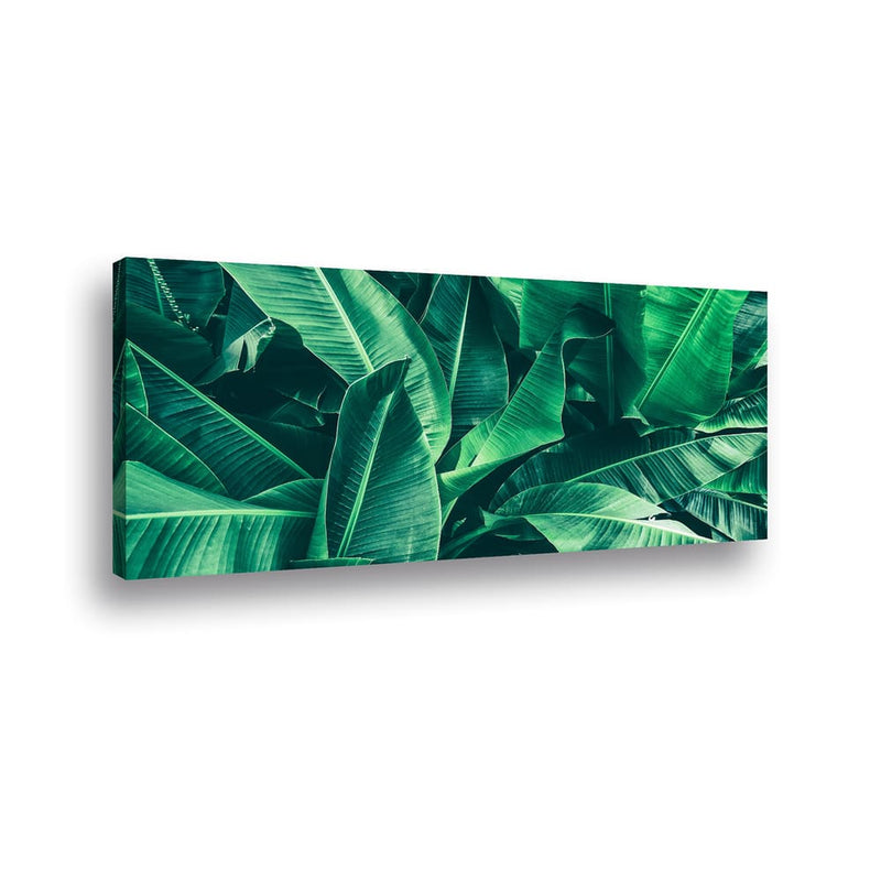 Canvas Tropical Banana