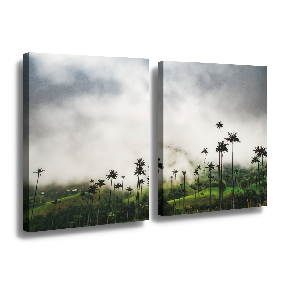 Canvas duo Trópico