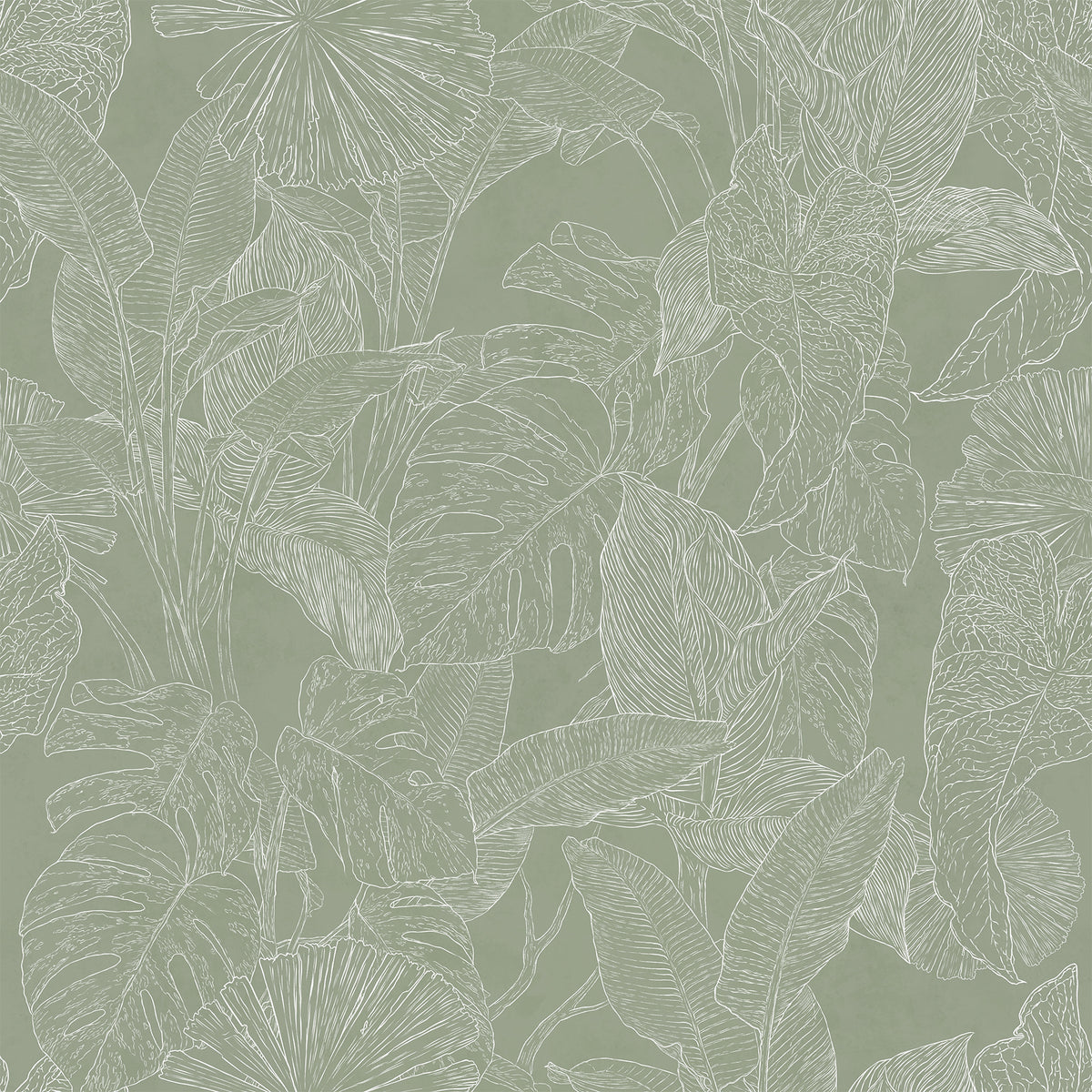 Papel Mural Plants Line