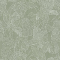 Papel Mural Plants Line